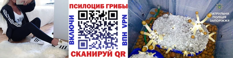 даркнет сайт  дарк нет клад  Псилоцибиновые грибы Psilocybine cubensis  Магнитогорск 